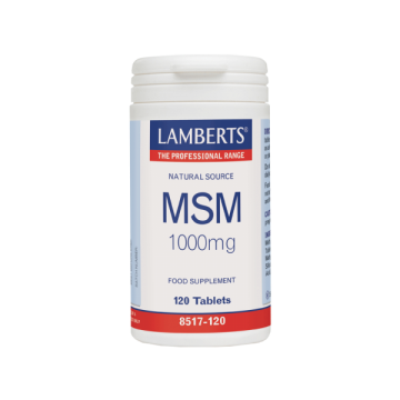 MSM 1000mg 120TABS Οστά Αρθρώσεις MSM 1000mg 120TABS Οστά Αρθρώσεις