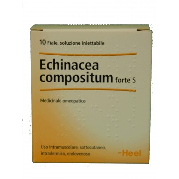 HEEL-ECHINACEA COMP.FORTE AMP. Heel HEEL-ECHINACEA COMP.FORTE AMP. Heel